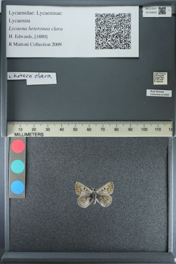 Media type: image;   Entomology 183628